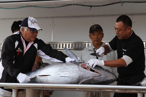 マグロの解体ショー