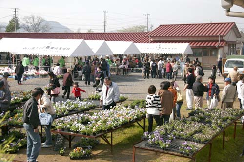 農高祭