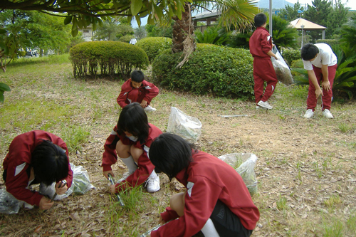 仙崎では除草作業も実施されました
