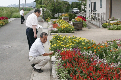 花の状態を入念にチェックする審査員