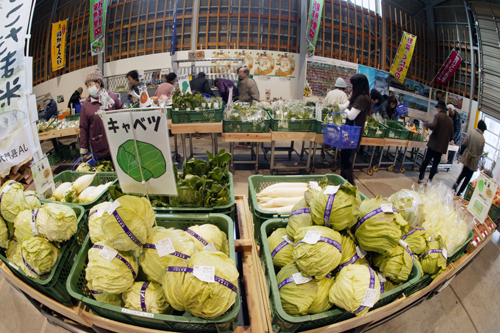 旬な野菜が、みなさんをお待ちしています