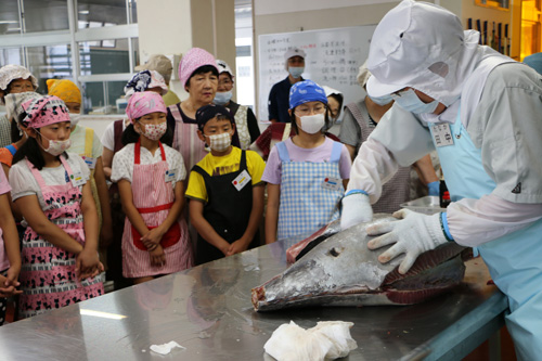 水産校舎の先生の手でメバチマグロが解体される