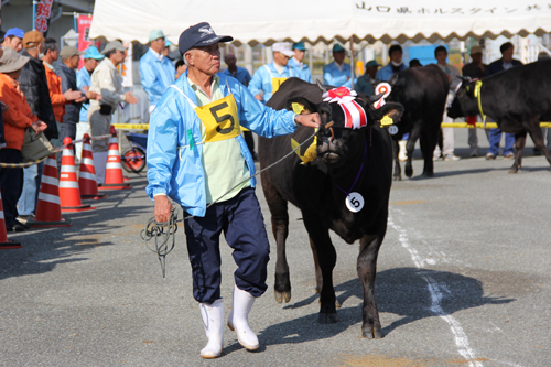 グランドチャンピオンに輝いた「ながひさかつ」号と永松さん