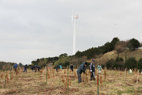 妙見山展望公園付近にある植樹場所