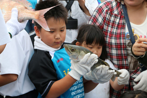 獲れた魚に興味津々