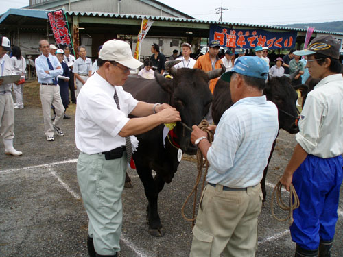 リボンをつけてもらう「ふくしげ号」