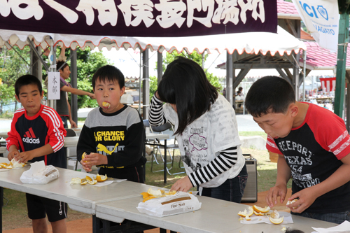 夏ミカン早食いは大混戦