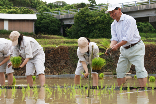 大西市長自らが植え方を指導