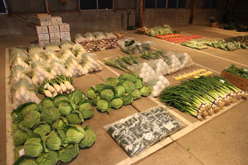 新鮮な長門の野菜がここから