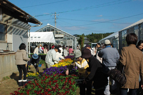 花の苗販売も盛況