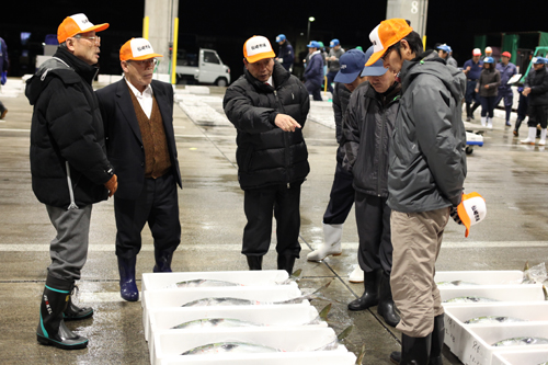 大西市長も水揚げされた魚を確認