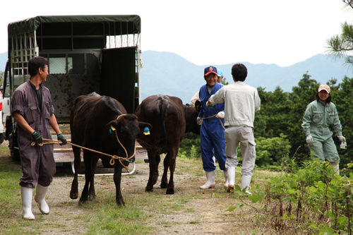 職員により車から降ろされる