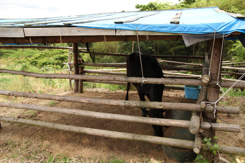 雨をしのぐ手作りの小屋