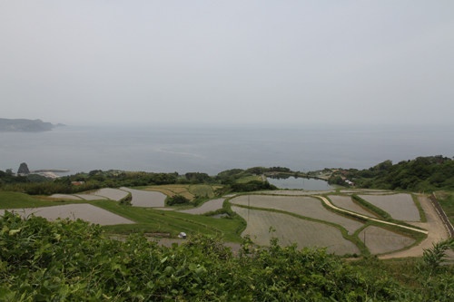 この日の棚田のようす