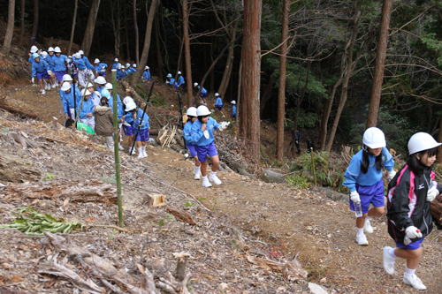 急な坂を登って植林場所へ移動