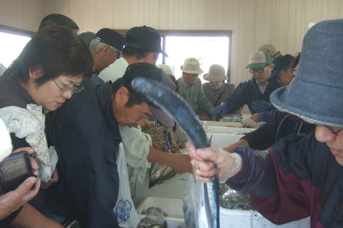 鮮魚・活魚の直売会