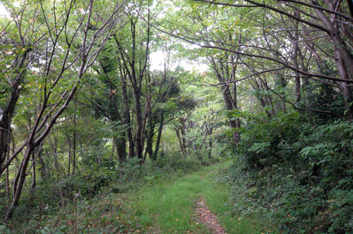 長門地区千年の森・高山