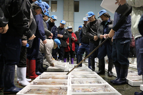 新鮮な魚介類が次々に競り落とされていく