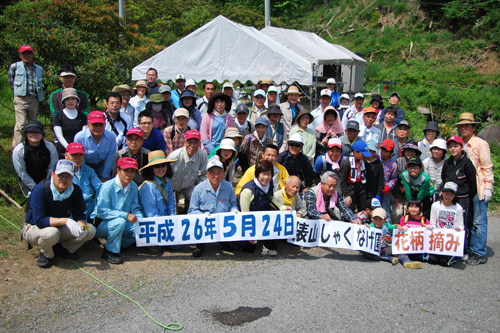 花がら摘みを行った参加者
