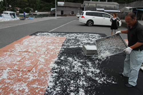 白潟港では、しらすを干していた住民も応援