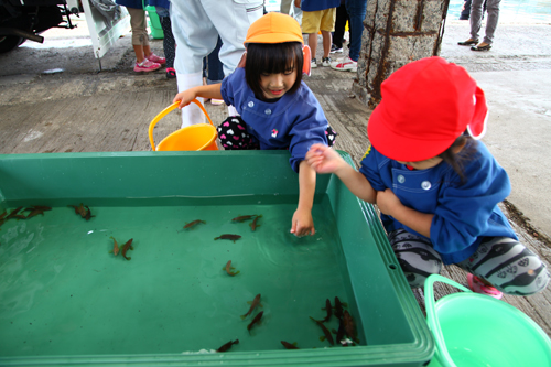 稚魚と触れ合う園児