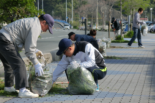 道路沿いをきれいに