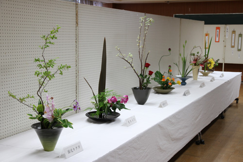 美しい生け花の展示