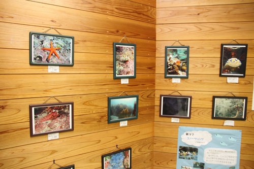 キャンプ場に併設のビジターセンターでは水中の生き物写真が展示