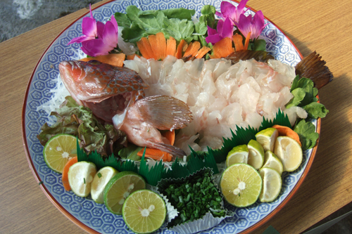 キジハタのお刺身を試食