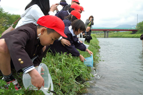 児童が稚鮎を放流