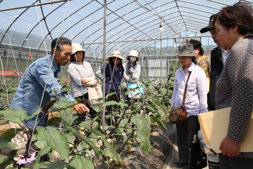 開講式後は特産品「田屋なす」などの見学が行われた