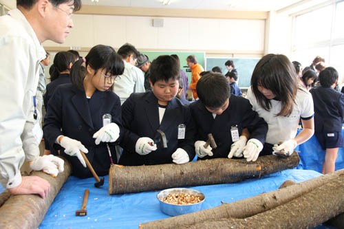 種駒をハンマーで打ち込む