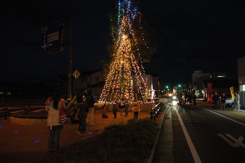 クリスマスツリーが点灯