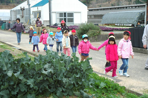 畑を見学する園児たち