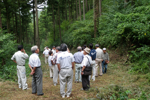 三隅地区の千年の森を視察する委員