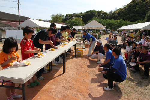 夏ミカン早食い選手権のようす