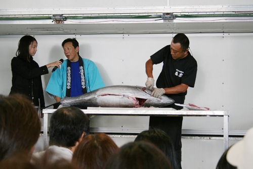 マグロの解体実演のようす