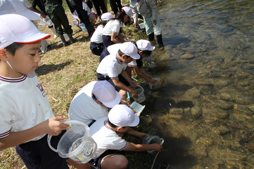 こちらは向陽小学校