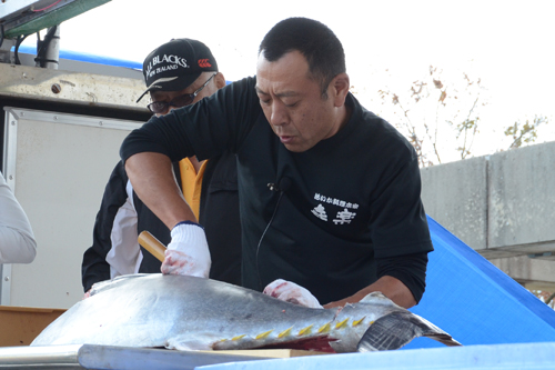 約60kgあるマグロを解体