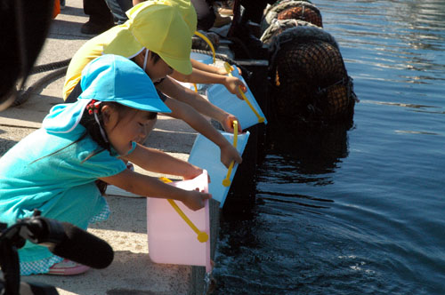 保育園児がキジハタの稚魚を放流