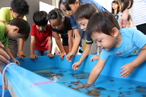 海の生き物に触れられる長門市ならではのブースも