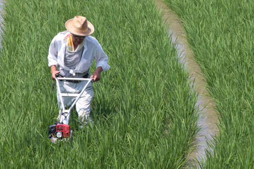 機械による除草作業