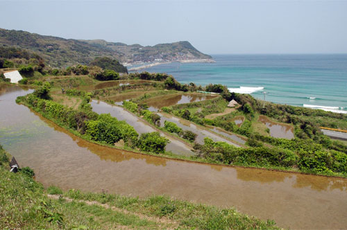 中ノ森地区の棚田