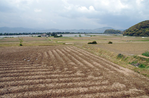 青海地区の棚田