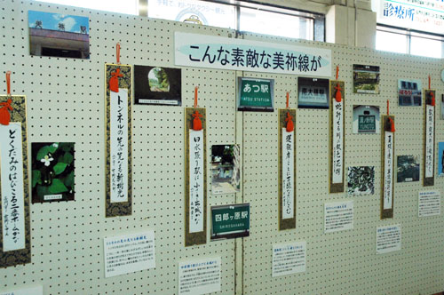 展示のようす