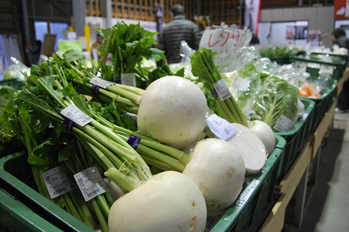 旬な野菜が販売