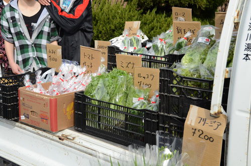 新鮮な野菜