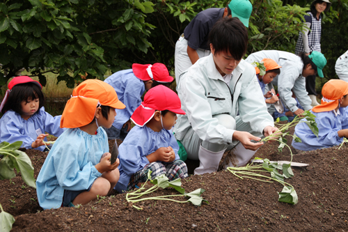 植え方を教わる