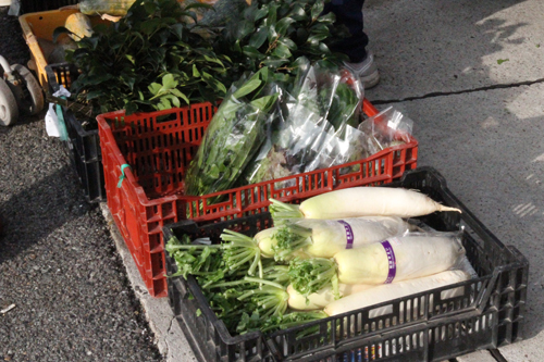 会場では、鮮魚以外にも野菜が販売された