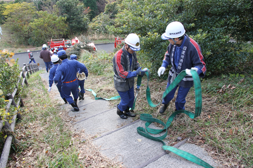 この日使われたホースは50本以上